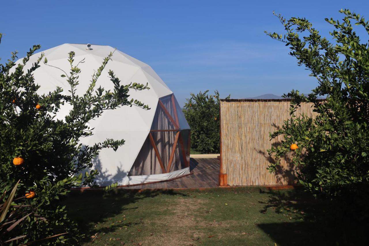 Hotel Mandalin Glamping Selçuk Zewnętrze zdjęcie