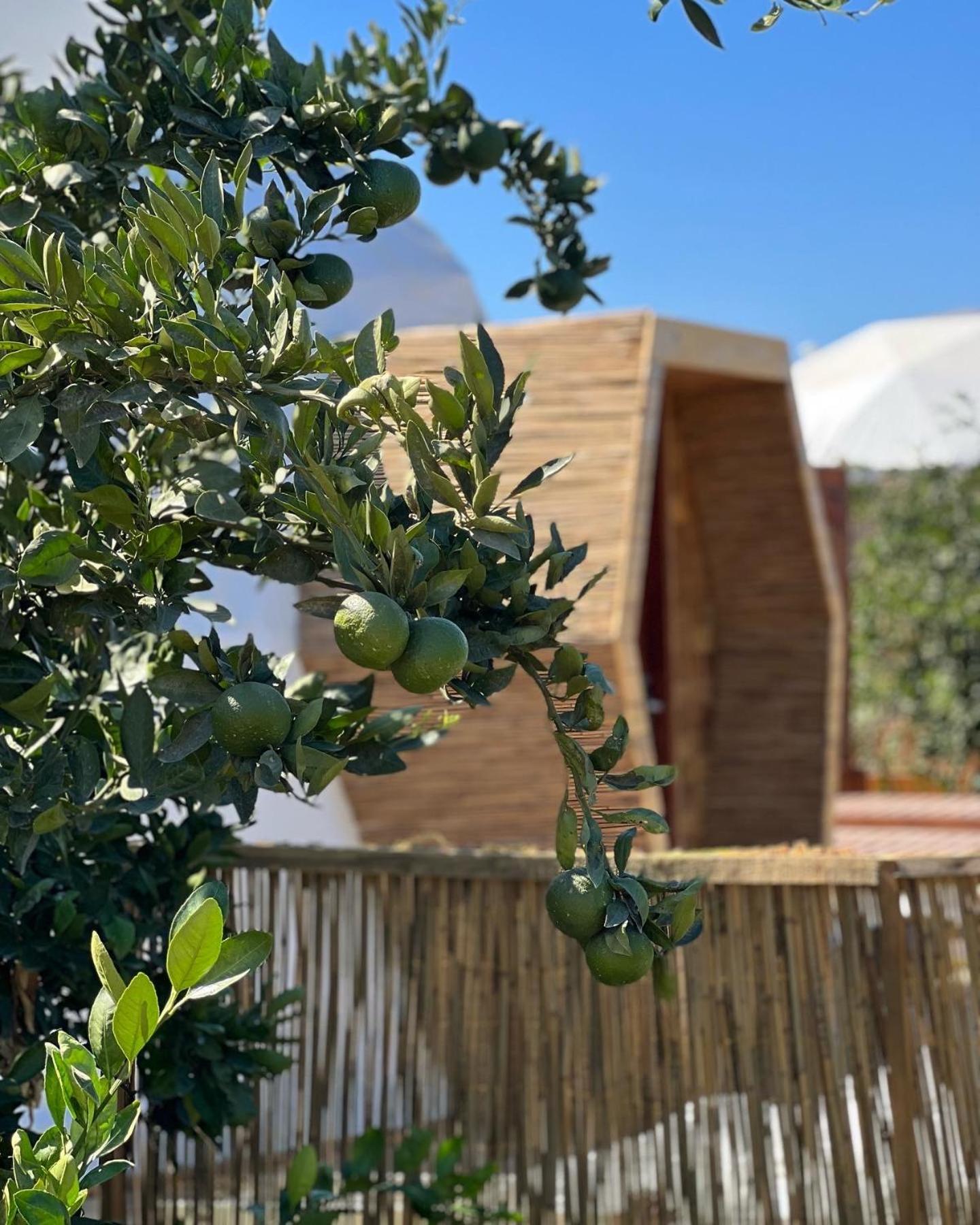 Hotel Mandalin Glamping Selçuk Zewnętrze zdjęcie