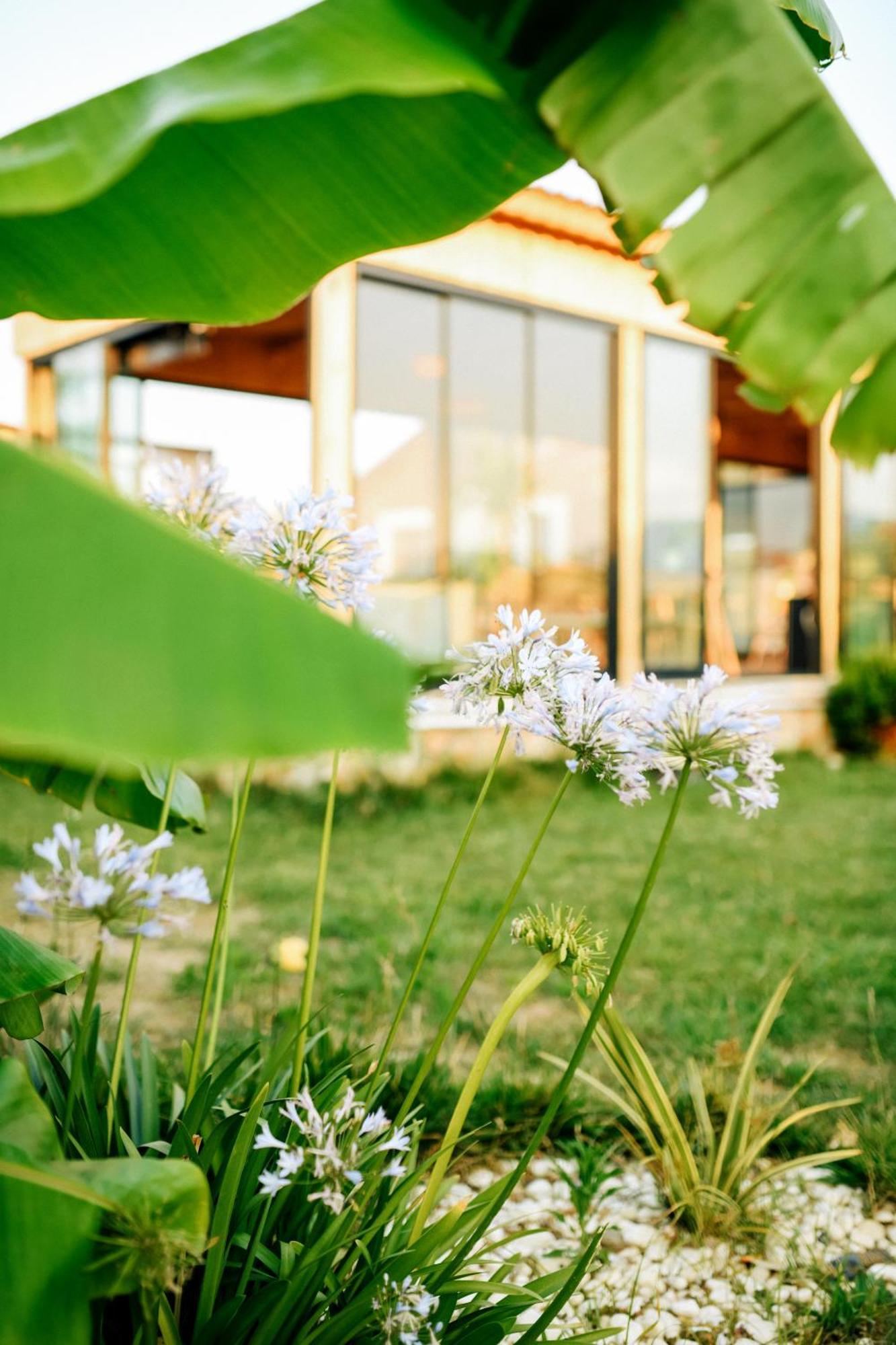 Hotel Mandalin Glamping Selçuk Zewnętrze zdjęcie